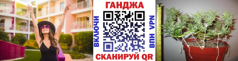Купить где  Сибай  Канабис гибрид 
